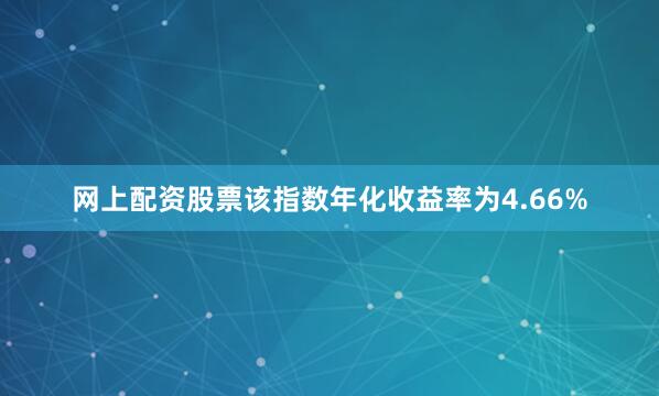 网上配资股票该指数年化收益率为4.66%