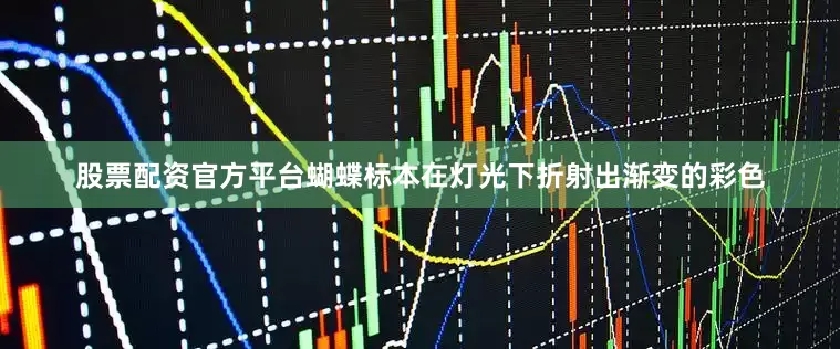 股票配资官方平台蝴蝶标本在灯光下折射出渐变的彩色