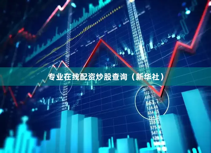 专业在线配资炒股查询（新华社）