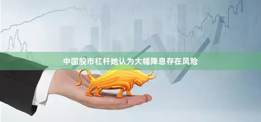 中国股市杠杆她认为大幅降息存在风险